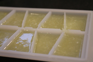 Limes juiced into ice cubes...they were on a great special this week
