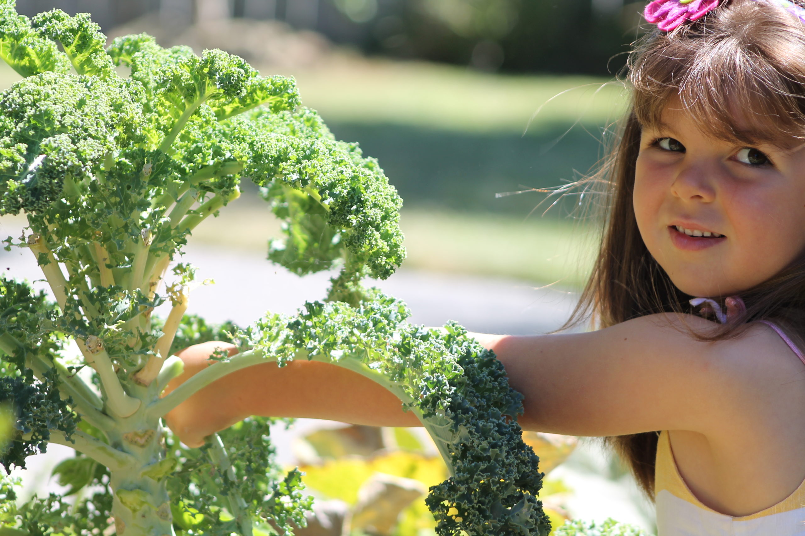 {movie} How to Make Kale Chips